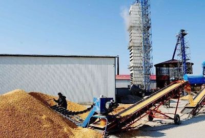 百吨级粮食烘干塔补贴政策详解 购置成本与补贴申请指南