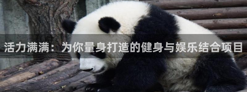 v66体育彩票平台存在多久了：活力满满：为你量身打造的健身与娱乐结合项目