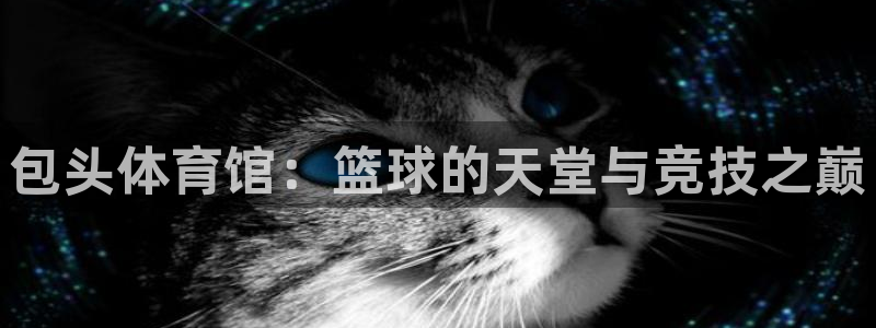 v66体育彩票平台正规吗可靠吗：包头体育馆：篮球的天堂与竞技之巅