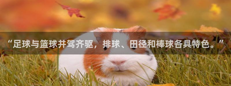 v66体育彩票平台正规吗可靠吗：“足球与篮球并驾齐驱，排球、田径和棒球各具特色。”