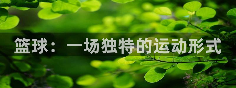 v66体育是什么：篮球：一场独特的运动形式