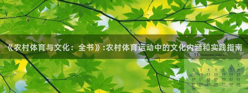 v66体育平台正规吗可靠吗：《农村体育与文化：全书》:农村体育运动中的文化内涵和实践指南