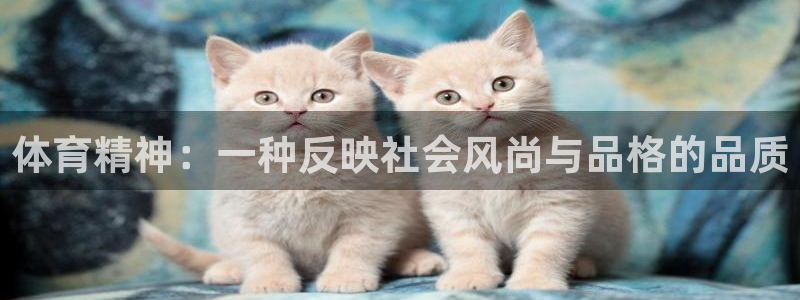 v66体育平台是正规的吗：体育精神：一种反映社会风尚与品格的品质