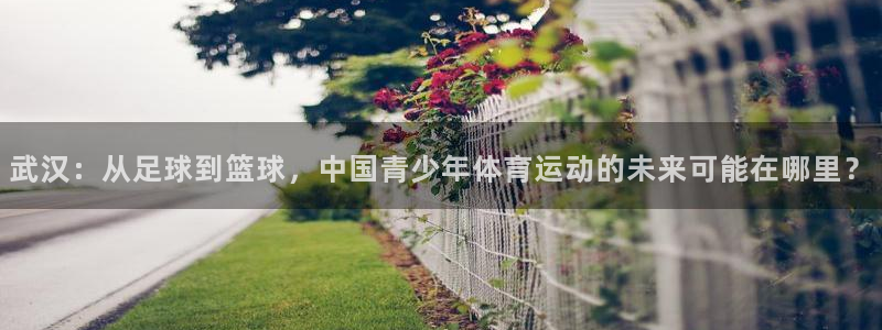 v66体育彩票平台存在多久了：武汉：从足球到篮球，中国青少年体育运动的未来可能在哪里？